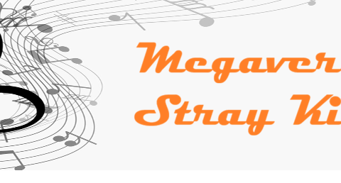Megaverse Stray Kids