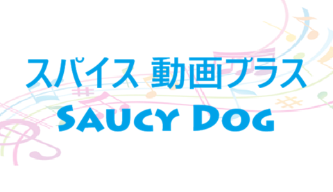 スパイス 動画プラス Saucy Dog