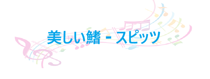 美しい鰭 – スピッツ – コードと歌詞 美しい鰭 スピッツ